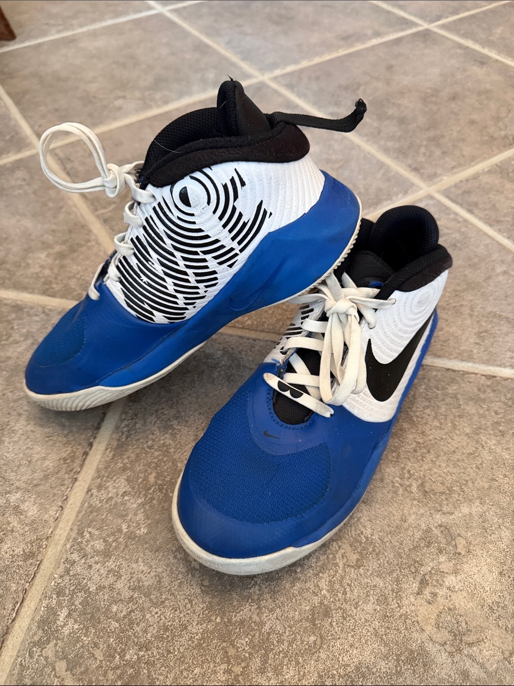 Nike Nike Team Hustle D9 GS
Kids Royal Blue, White & Black Basketball Sneakers